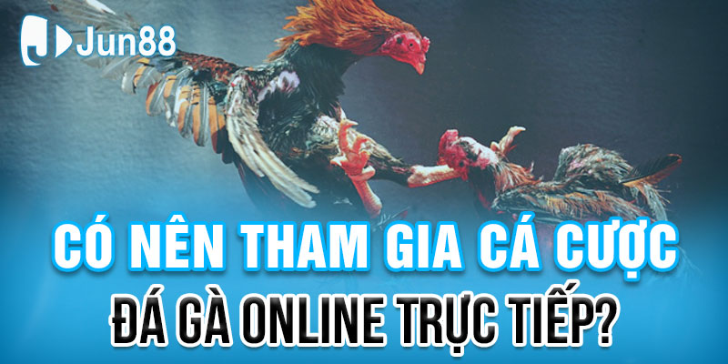 Đá gà Jun88 - Nhà cái Đá Gà Trực Tuyến Chất Lượng - Uy Tín Nhất